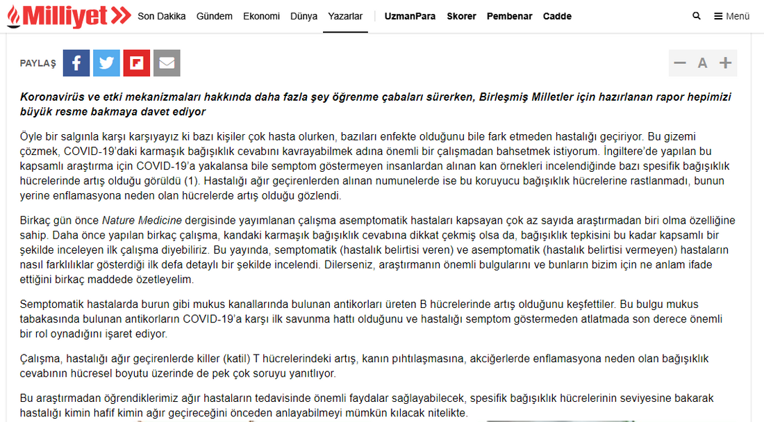 Büyük Resme Bakabilmek / Milliyet.com.tr