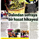 Dalından sofraya Gömeç Zeytin Hasadı Hikâyesi / Milliyet