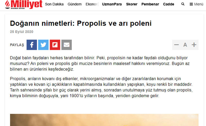 Doğanın Nimetleri: Propolis ve Arı Poleni / Milliyet.com.tr