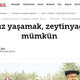 Zeytinyağı İle İlaçsız Yaşamak Mümkün! / Hurriyet.com.tr