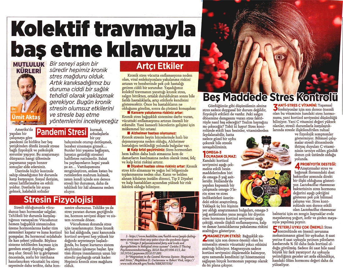 Kolektif Travmayla Baş Etme Kılavuzu / Milliyet