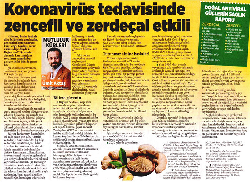 Koronavirüs Tedavisinde Zencefil ve Zerdeçal Etkisi / Milliyet