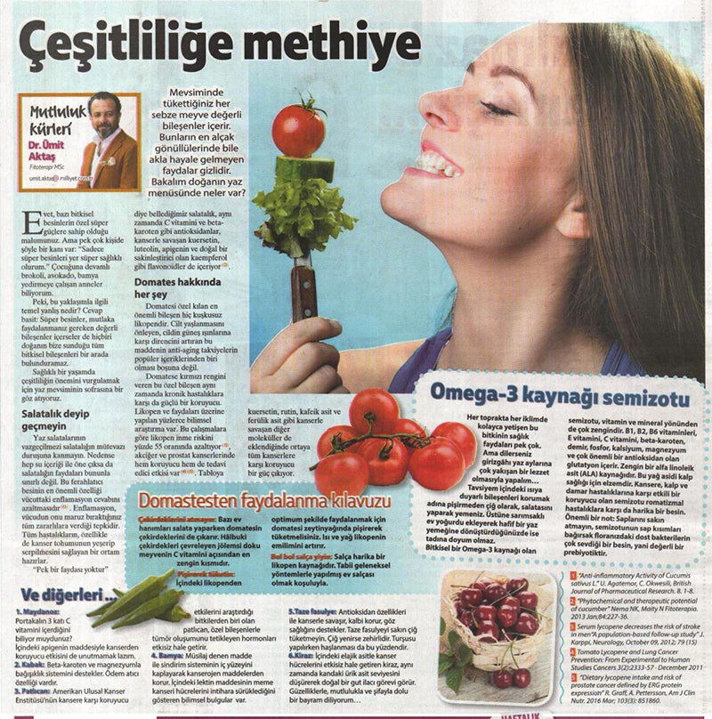 Yaz Menüsü / Milliyet