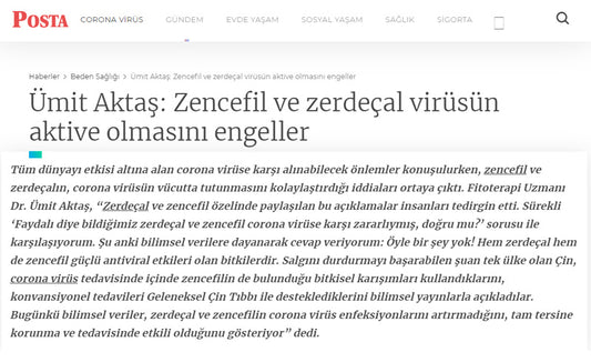 Zencefil ve Zerdeçal Koronavirüsün Aktive Olmasını Engeller / Posta.com.tr