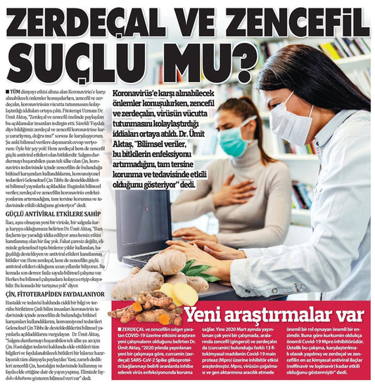 Zerdeçal ve Zencefil Suçlu mu?